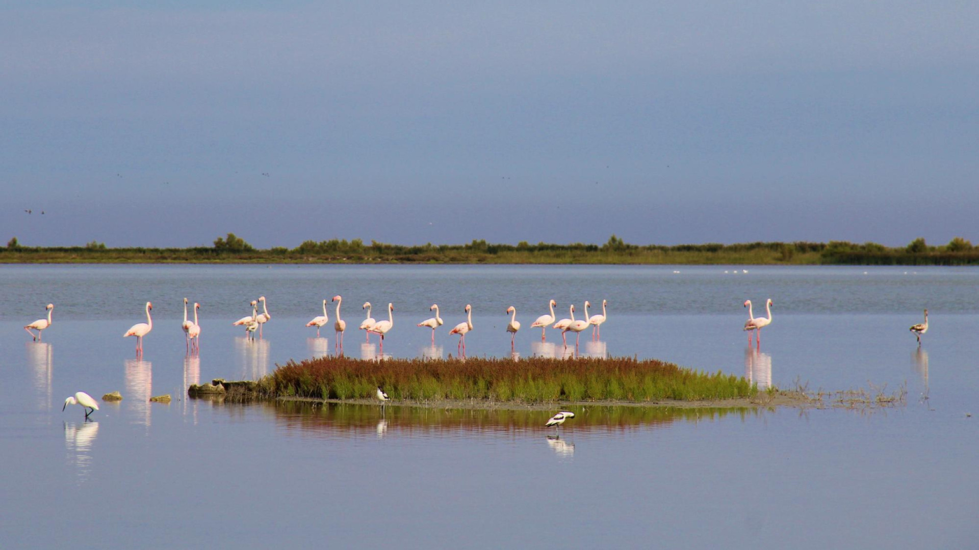 Pourquoi choisir la Camargue pour des vacances inoubliables en famille ?